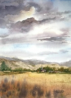 Debi Bates