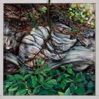 Nancy Helmsworth